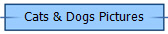 Cats & Dogs Pictures